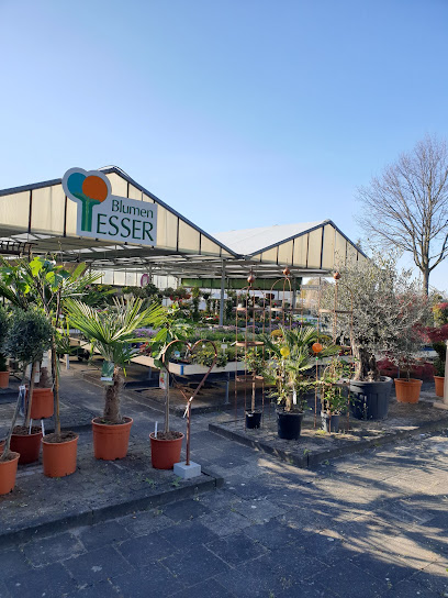 Blumen Esser