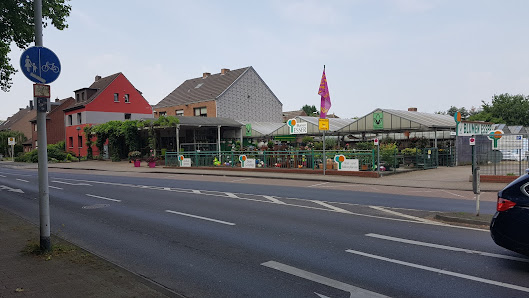 Blumen Esser