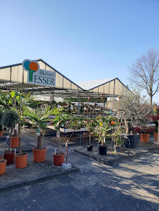 Blumen Esser