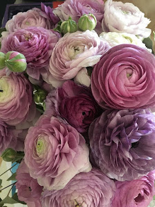 Blumen Hartmann