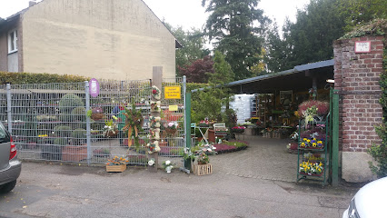 Blumen Uhlig Saison Verkauf