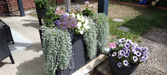 Aabelia Blumen Heinen Marie-Antoinette Heinen