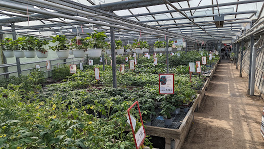 Gartenbau Uebel