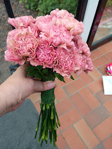 Floria Blumen