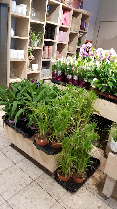 Blumengeschäft
