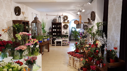 Blumen Schneider
