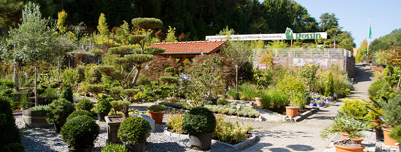 Pflanzencenter Rossin GmbH