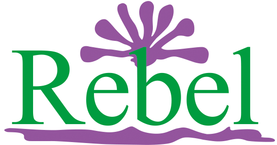 Gärtnerei Blumen Rebel