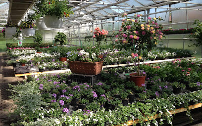 Gärtnerei Blumen Rebel
