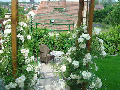 Hau Gartenwelten - Gartenbau Thomas Hau