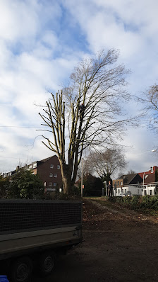 Galabau - Herhold