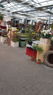 Blatt und Blume - Schockert