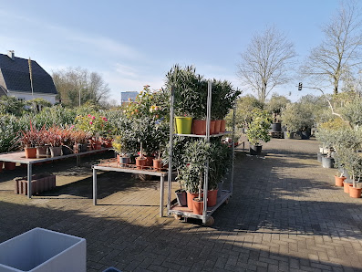 Blumen Paradies