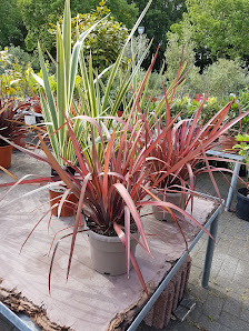 Blumen Paradies