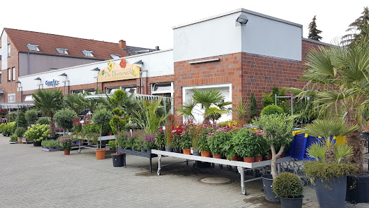 Die Blumenecke