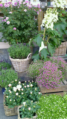blumenwerkstatt-antoniak