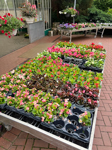 Blumen Rosenkranz