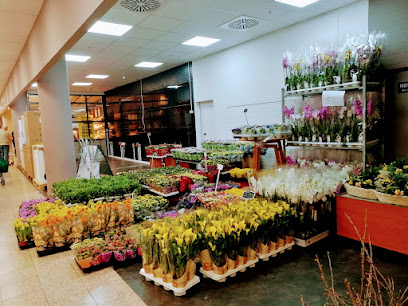 Blumenladen Hagen Haspe im ReweCenter Vedat Özgen
