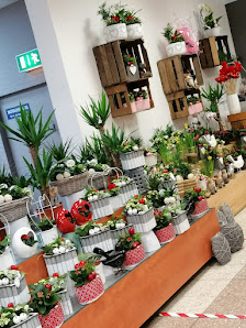 Blumenladen Hagen Haspe im ReweCenter Vedat Özgen
