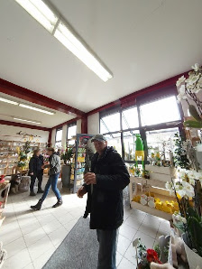 Jumbo's Blumenwelt