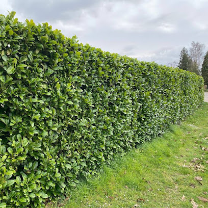 Garten und Landschaftsbau Hesse