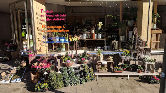 Blumenhaus Flohr - Flower Dreams