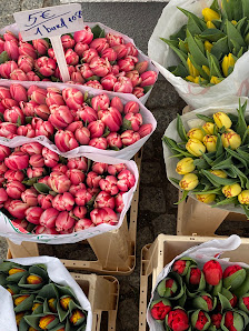 Blumen Nguyen Marzahn-Hellersdorf