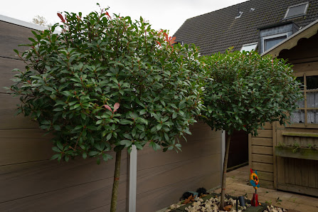 Garten- und Landschaftsbau Cakolli