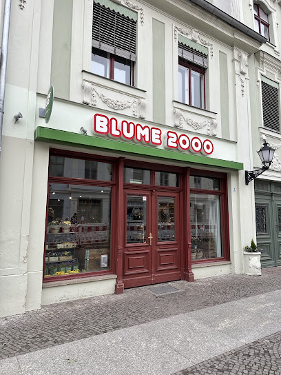 BLUME2000 Potsdam BS53