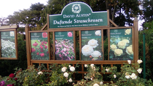 Foerster-Stauden GmbH