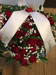 Blumen Und Pflanzen