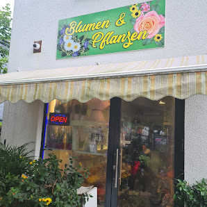 Blumen Und Pflanzen