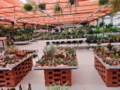 Gartencenter Geltow Potsdamer Blumen eG