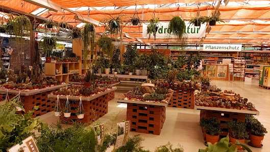 Gartencenter Geltow Potsdamer Blumen eG