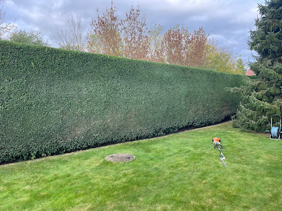 Baum- und Gartenpflege Schifelbein GmbH
