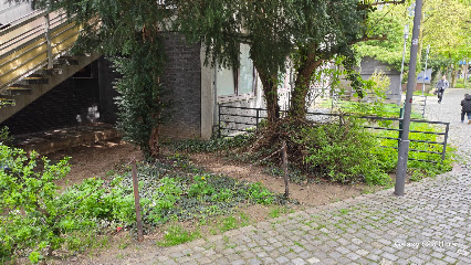 Hagen