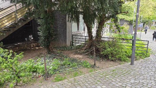 Awan Garten-Landschaftbau