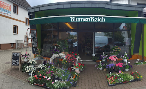 blumen und pflanzen