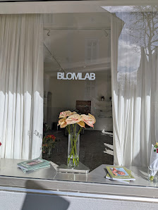BLOMLAB