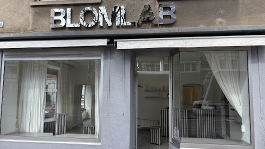 BLOMLAB