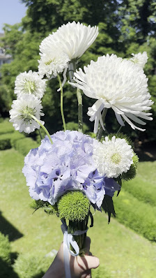 BLOMLAB