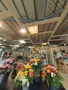 Blumen Kamm GmbH