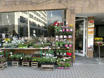 Florales Ambiente Anja Thijssen