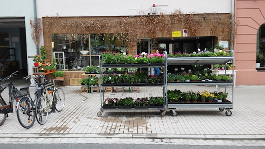 Florales Ambiente Anja Thijssen