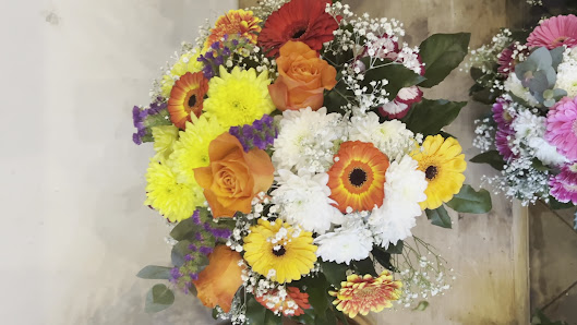 Blumen & Pflanzen