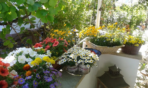 Lenz' Garten (Stefan Lenz)