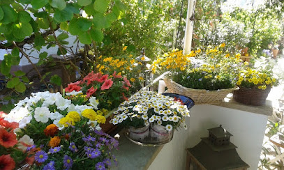 Lenz' Garten (Stefan Lenz)