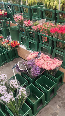 Oranje Blumenmarkt