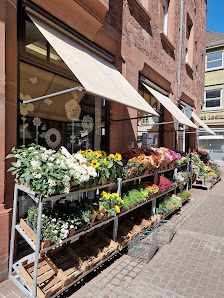 BLUME2000 Heidelberg
