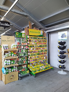 Gärtnerei Widmann